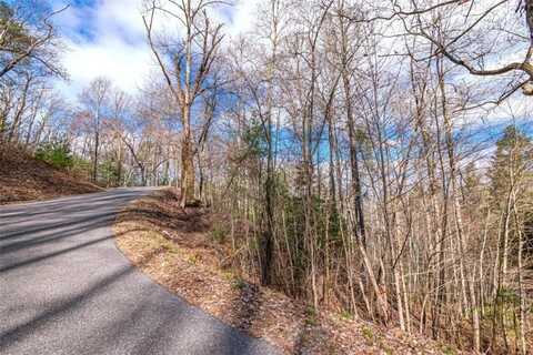 LOT 43 Dusty Danno Trail, Mineral Bluff, GA 30559