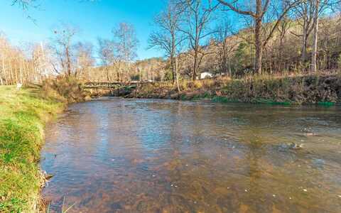 1.40 Mountain Rivers Road, Mineral Bluff, GA 30559