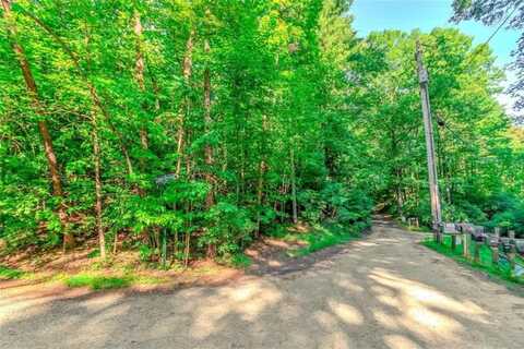 LOT 10 Cashes Valley Lane, Blue Ridge, GA 30513