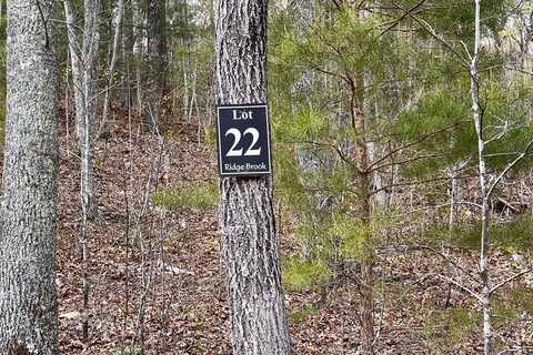 Lot 22 Meadow Brook Trail, Morganton, GA 30560