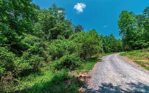 3.35 Pine Lane, Mineral Bluff, GA 30559