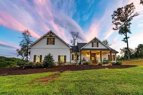 353 Sowers Road, Blue Ridge, GA 30513