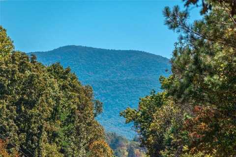 7.07AC Eastridge Court, Blairsville, GA 30512