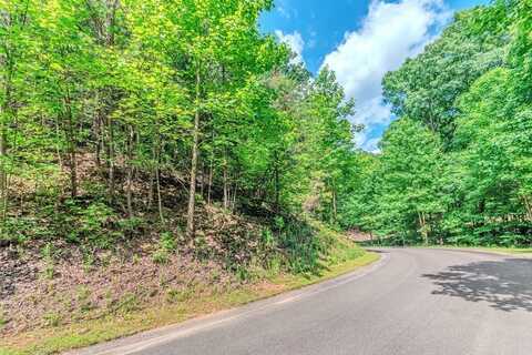 Lot 36 Abbott Mill Road, Ellijay, GA 30540