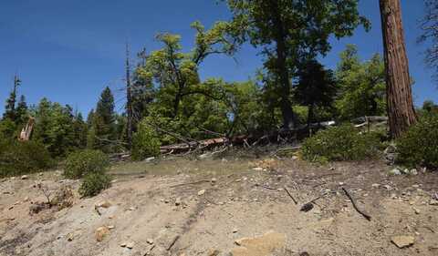 42203 Tournaline Lane, Shaver Lake, CA 93664