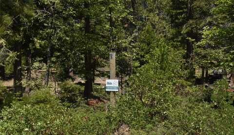 42137 Tourmaline Lane, Shaver Lake, CA 93664