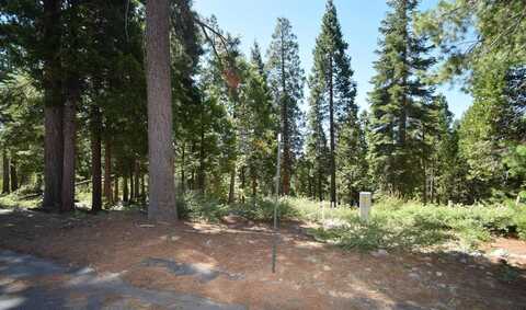 42036 Tourmaline Lane, Shaver Lake, CA 93664