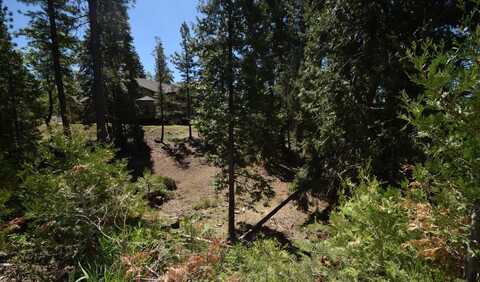 42568 Opal Lane, Shaver Lake, CA 93664