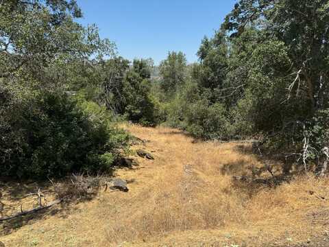 1 Starlight Way, Coarsegold, CA 93614