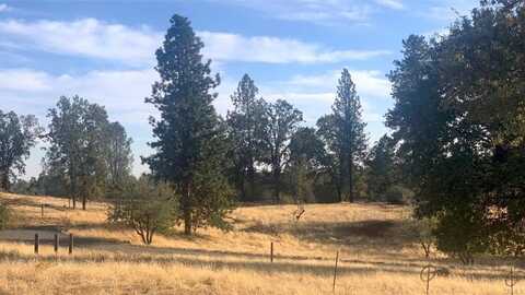 5664 Sierra Meadows Lane, Mariposa, CA 95338