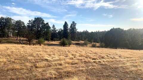 5664 Sierra Meadows Lane, Mariposa, CA 95338