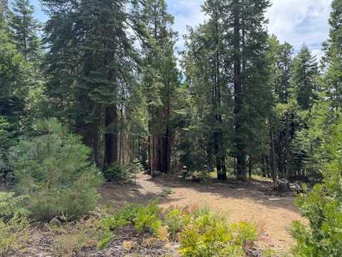 40541 Wild Rose Lane, Shaver Lake, CA 93664