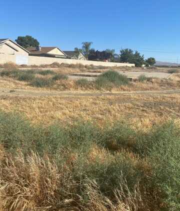 4 Willow Springs, Coalinga, CA 93210