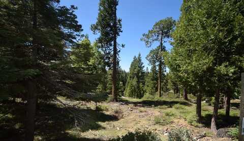 42258 Opal Lane, Shaver Lake, CA 93664