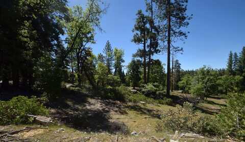 42352 Opal Lane, Shaver Lake, CA 93664