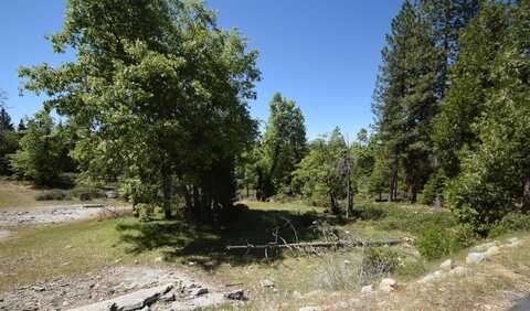 42302 Opal Lane, Shaver Lake, CA 93664