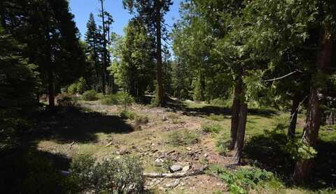 42208 Opal Lane, Shaver Lake, CA 93664