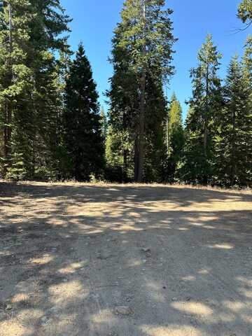 21 Foxglove Lane, Shaver Lake, CA 93664