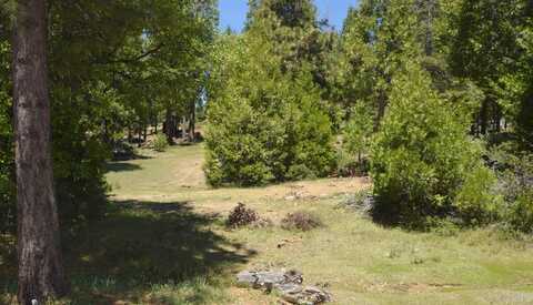 42101 Tourmaline Lane, Shaver Lake, CA 93664