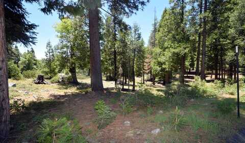 42436 Garnet Lane, Shaver Lake, CA 93664