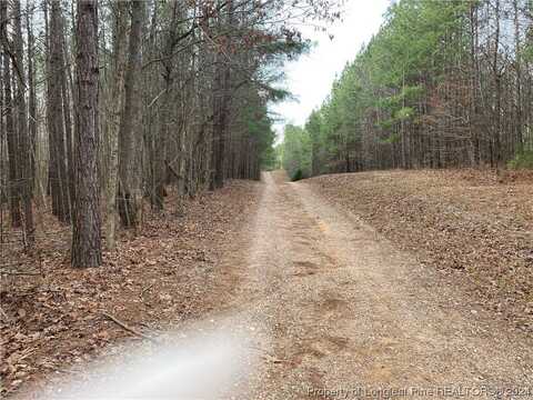 Lick Creek Road, Sanford, NC 27330