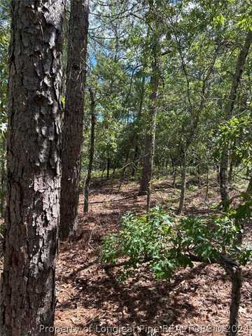 Tbd Rodgers Trail, West End, NC 27376