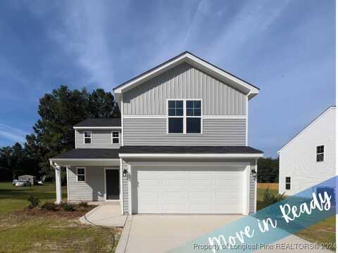 4831 Blue Springs (Lot 1) Road, Red Springs, NC 28377