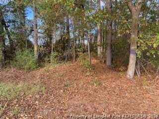 Beaver Dam Road, Autryville, NC 28318