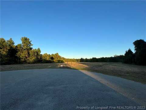 Olan Drive, Lumberton, NC 28360