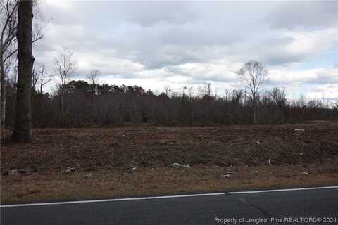 Lot 11 Odum Road, Lumberton, NC 28358