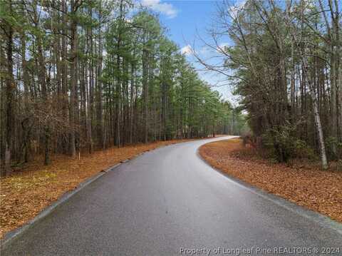 221 Pebble Drive, West End, NC 27376