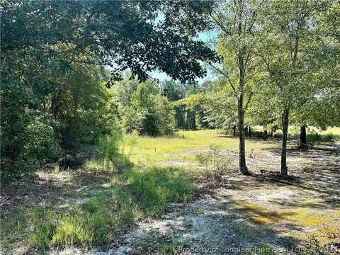 2960 Duck Pond Road, Linden, NC 28356