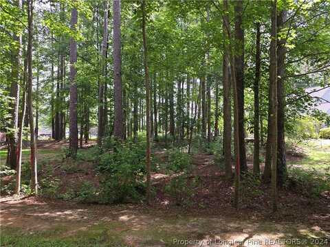 797 Daphne Lane, Vass, NC 28326