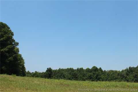 Tbd Siler City Glendon Road, Bear Creek, NC 27207