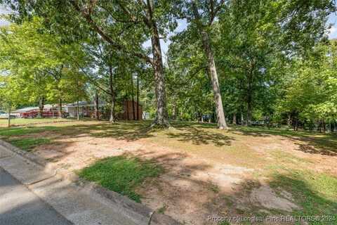 Tbd W McIntosh Street, Sanford, NC 27330