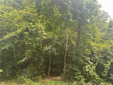 Lot 14 Richland Drive, Pembroke, NC 28372