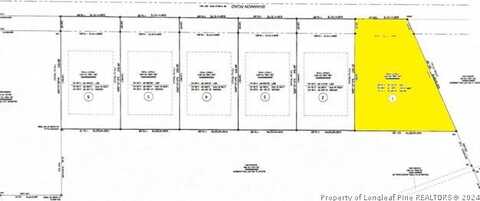 Lot 1 Shannon Road, Shannon, NC 28386