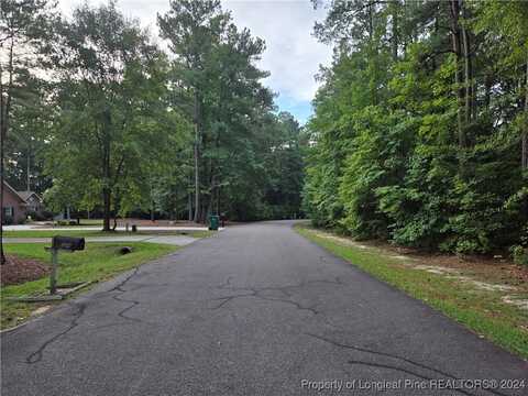 319 Cypress Creek Corner, Woodlake, NC 28394