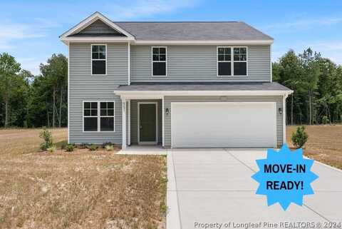 8231 Beaver Dam (Lot 6) Road, Autryville, NC 28318