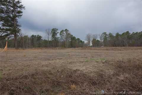 Tract 5 Odum Road, Lumberton, NC 28358