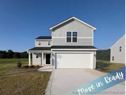 4993 Blue Springs (Lot 8) Road, Red Springs, NC 28377