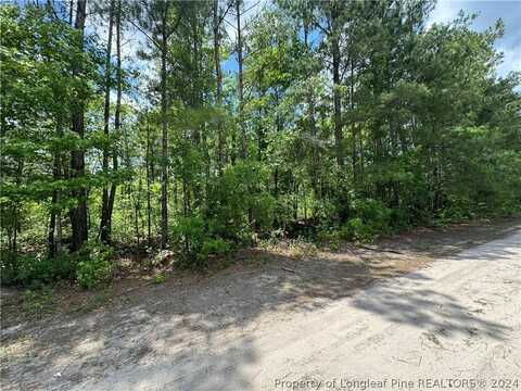 Tbd Avery Road, Fayetteville, NC 28312