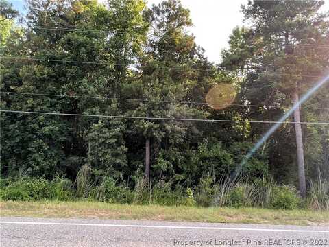 Old US 421 Highway, Lillington, NC 27546