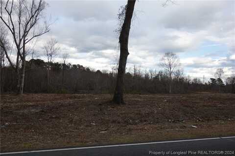 Lot 9 Odum Road, Lumberton, NC 28358