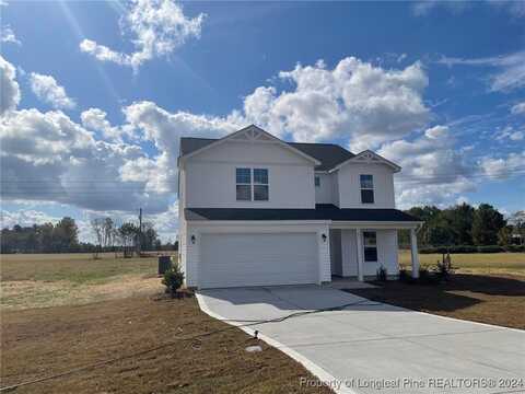 85 (lot 4) Buggy Top Lane, Autryville, NC 28318