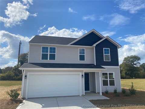 139 (lot 6) Buggy Top Lane, Autryville, NC 28318