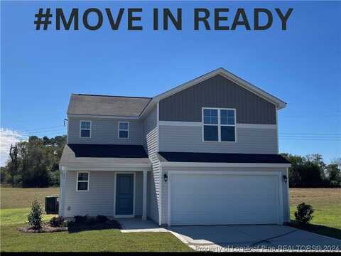 21 (lot 1) Buggy Top Lane, Autryville, NC 28318