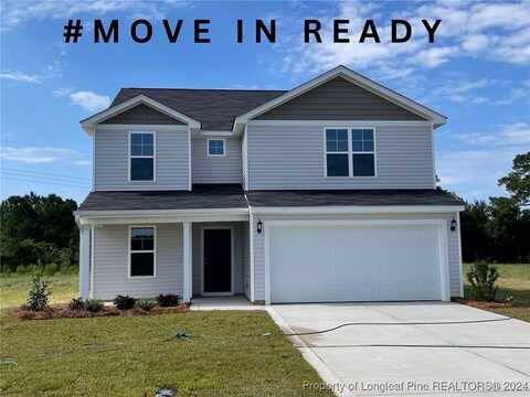 163 (lot 7) Buggy Top Lane, Autryville, NC 28318