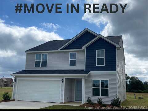 43 (lot 2) Buggy Top Lane, Autryville, NC 28318