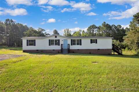 321 Bailey Thomas Road, Sanford, NC 27332